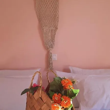 Serengeti Nap Comfy Hotel apartamentowy Sidari (Corfu)