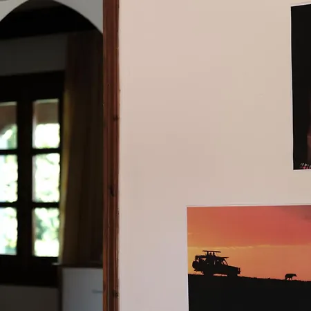 Hotel apartamentowy Serengeti Nap Comfy Sidari (Corfu)