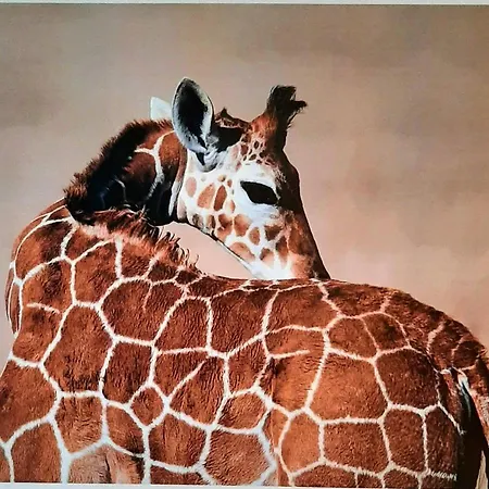 Serengeti Nap Comfy アパートホテル