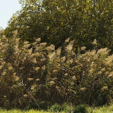 Aparthotel Serengeti Nap Comfy 3*